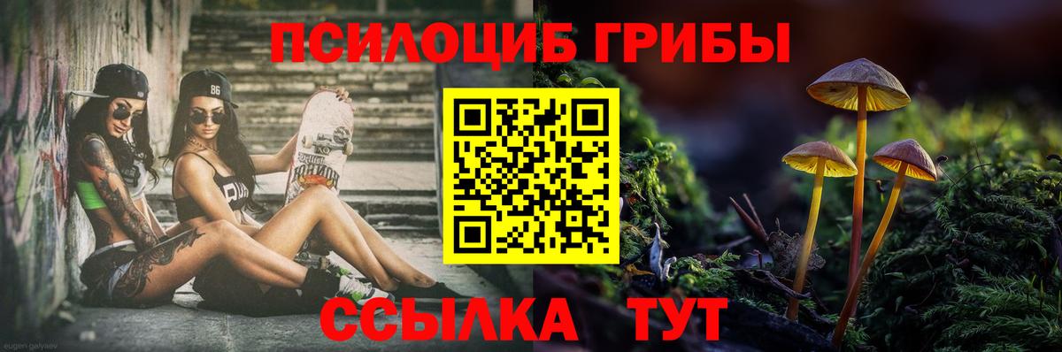 Псилоцибиновые грибы Psilocybine cubensis  Вход с VPN  купить наркоту  Карачаевск 